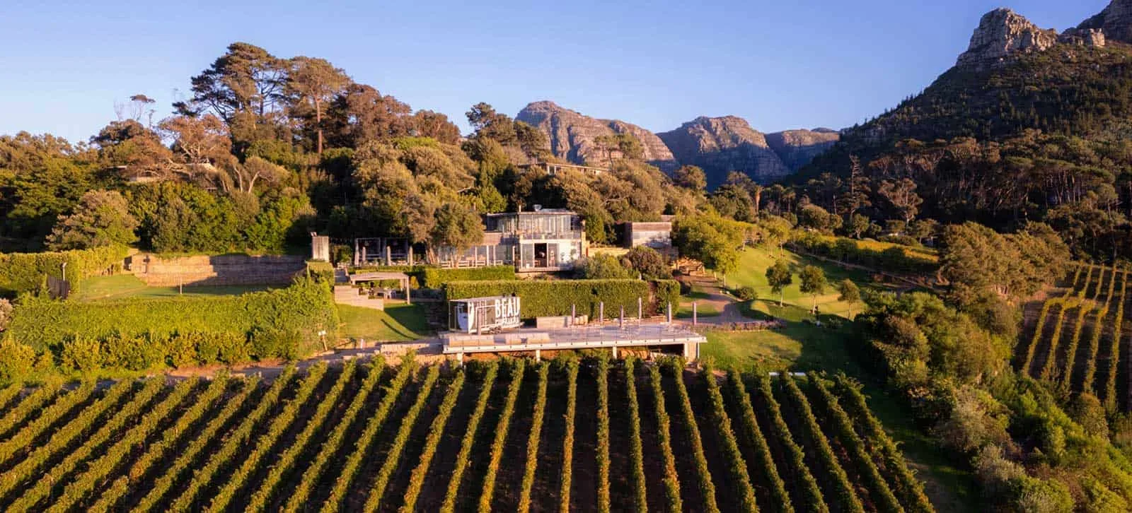 Constantia et les Winelands proches : calme et vignobles