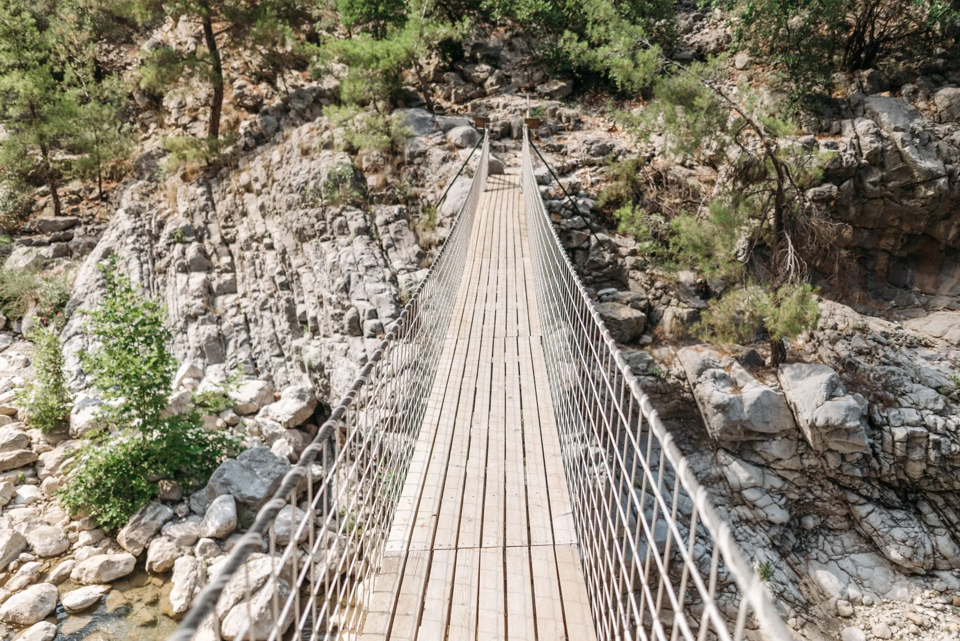Jour 7 : le parc de Tsitsikamma