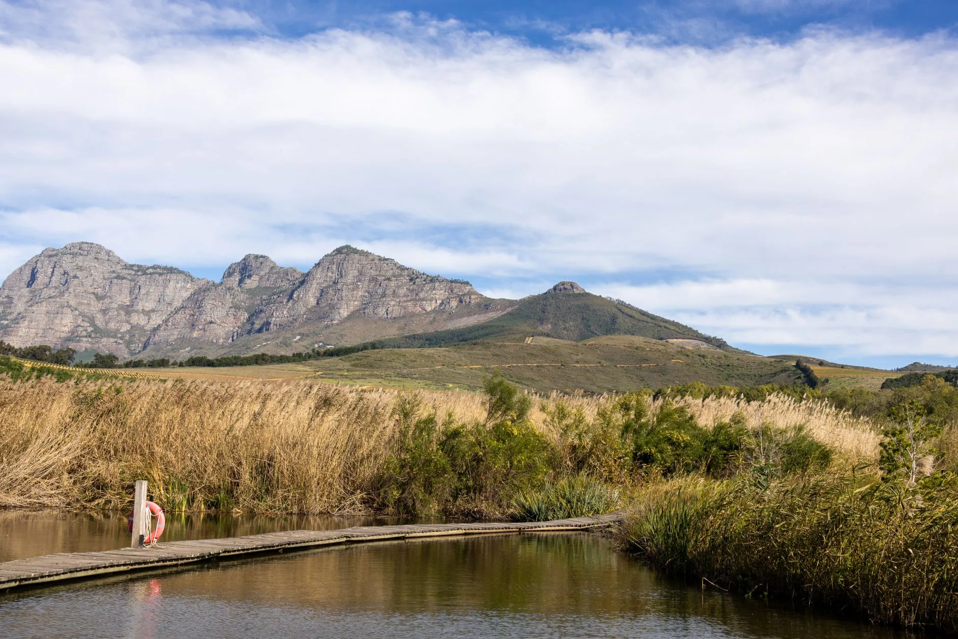 Vignobles des Winelands près de Stellenbosch en Afrique du Sud